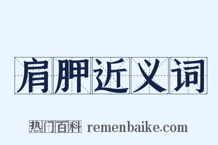 肩胛近义词是什么意思的图片